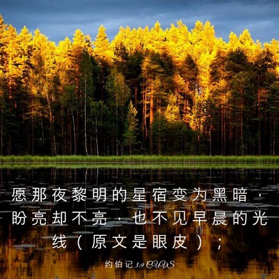 Picture 03 - 约 伯 记 3:9 CUVS - 愿 那 夜 黎 明 的 星 宿 变 为 黑 暗 - Bible Verse Picture