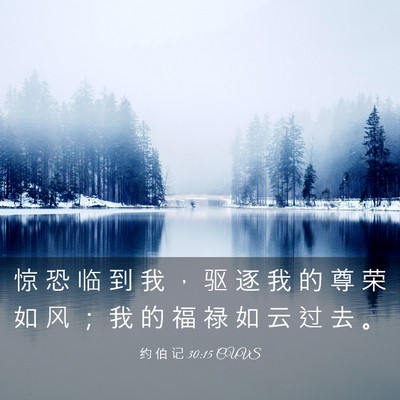Picture 03 - 约 伯 记 30:15 CUVS - 惊 恐 临 到 我 ， 驱 逐 我 的 尊 荣 - Bible Verse Picture