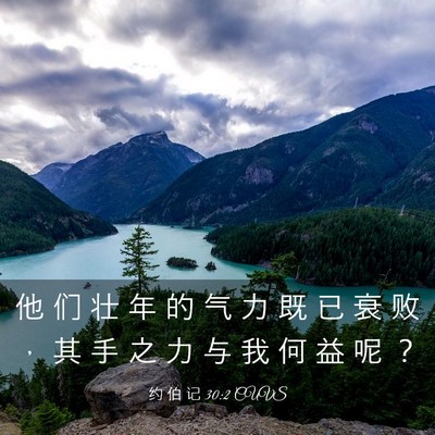 Picture 03 - 约 伯 记 30:2 CUVS - 他 们 壮 年 的 气 力 既 已 衰 败 ， - Bible Verse Picture