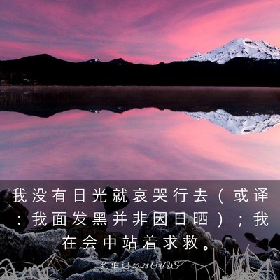 Picture 03 - 约 伯 记 30:28 CUVS - 我 没 有 日 光 就 哀 哭 行 去 （ 或 - Bible Verse Picture