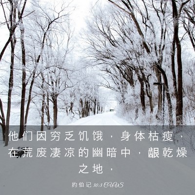 Picture 03 - 约 伯 记 30:3 CUVS - 他 们 因 穷 乏 饥 饿 ， 身 体 枯 瘦 - Bible Verse Picture