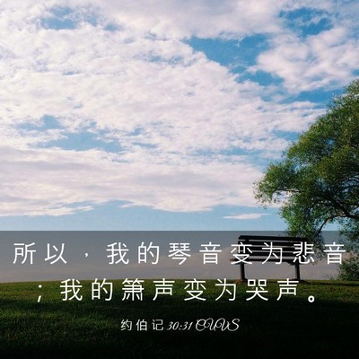Picture 03 - 约 伯 记 30:31 CUVS - 所 以 ， 我 的 琴 音 变 为 悲 音 ； - Bible Verse Picture