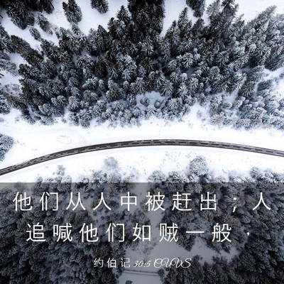 Picture 03 - 约 伯 记 30:5 CUVS - 他 们 从 人 中 被 赶 出 ； 人 追 喊 - Bible Verse Picture