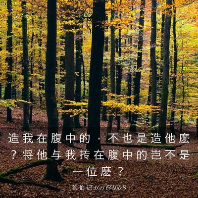 Picture 03 - 约 伯 记 31:15 CUVS - 造 我 在 腹 中 的 ， 不 也 是 造 他 - Bible Verse Picture