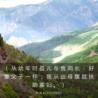 Picture 03 - 约 伯 记 31:18 CUVS - （ 从 幼 年 时 孤 儿 与 我 同 长 ， - Bible Verse Picture