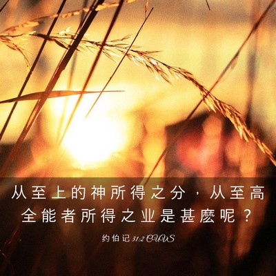 Picture 03 - 约 伯 记 31:2 CUVS - 从 至 上 的 神 所 得 之 分 ， 从 至 - Bible Verse Picture