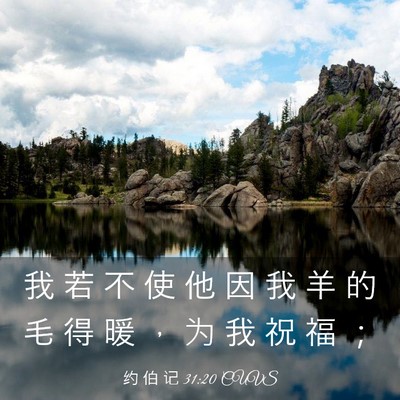 Picture 03 - 约 伯 记 31:20 CUVS - 我 若 不 使 他 因 我 羊 的 毛 得 暖 - Bible Verse Picture