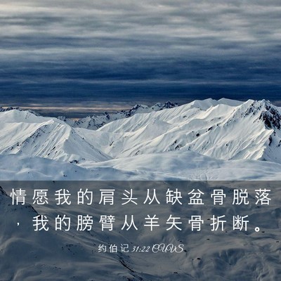 Picture 03 - 约 伯 记 31:22 CUVS - 情 愿 我 的 肩 头 从 缺 盆 骨 脱 落 - Bible Verse Picture
