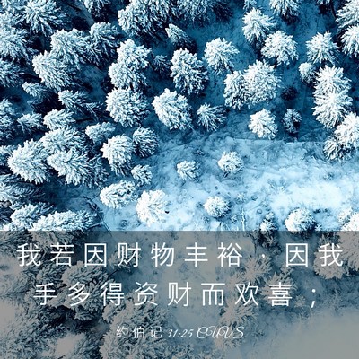 Picture 03 - 约 伯 记 31:25 CUVS - 我 若 因 财 物 丰 裕 ， 因 我 手 多 - Bible Verse Picture