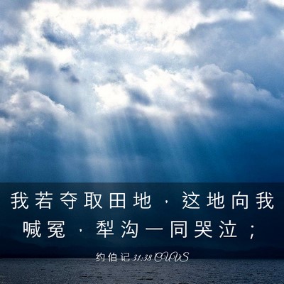 Picture 03 - 约 伯 记 31:38 CUVS - 我 若 夺 取 田 地 ， 这 地 向 我 喊 - Bible Verse Picture
