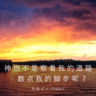 Picture 03 - 约 伯 记 31:4 CUVS - 神 岂 不 是 察 看 我 的 道 路 ， 数 - Bible Verse Picture
