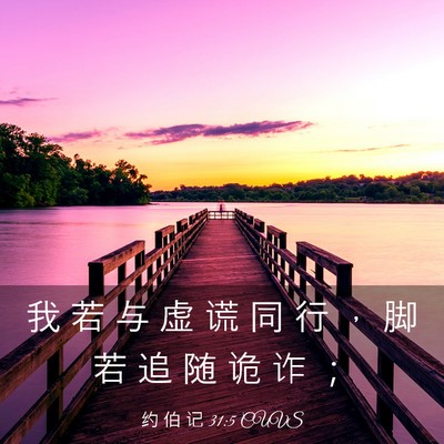 Picture 03 - 约 伯 记 31:5 CUVS - 我 若 与 虚 谎 同 行 ， 脚 若 追 随 - Bible Verse Picture