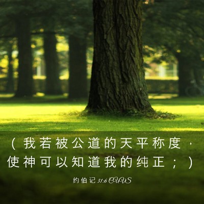 Picture 03 - 约 伯 记 31:6 CUVS - （ 我 若 被 公 道 的 天 平 称 度 ， - Bible Verse Picture