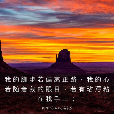 Picture 03 - 约 伯 记 31:7 CUVS - 我 的 脚 步 若 偏 离 正 路 ， 我 的 - Bible Verse Picture