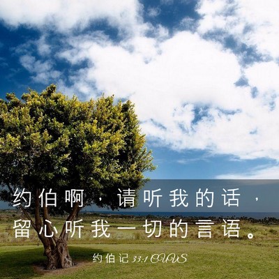 Picture 03 - 约 伯 记 33:1 CUVS - 约 伯 啊 ， 请 听 我 的 话 ， 留 心 - Bible Verse Picture