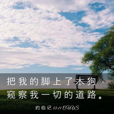 Picture 03 - 约 伯 记 33:11 CUVS - 把 我 的 脚 上 了 木 狗 ， 窥 察 我 - Bible Verse Picture