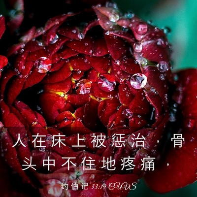 Picture 03 - 约 伯 记 33:19 CUVS - 人 在 床 上 被 惩 治 ， 骨 头 中 不 - Bible Verse Picture