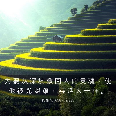 Picture 03 - 约 伯 记 33:30 CUVS - 为 要 从 深 坑 救 回 人 的 灵 魂 ， - Bible Verse Picture