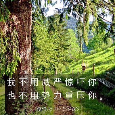 Picture 03 - 约 伯 记 33:7 CUVS - 我 不 用 威 严 惊 吓 你 ， 也 不 用 - Bible Verse Picture