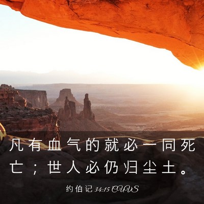Picture 03 - 约 伯 记 34:15 CUVS - 凡 有 血 气 的 就 必 一 同 死 亡 ； - Bible Verse Picture