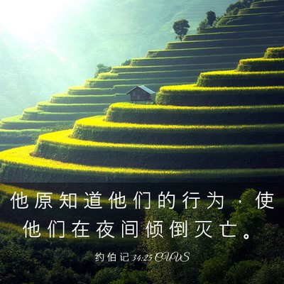 Picture 03 - 约 伯 记 34:25 CUVS - 他 原 知 道 他 们 的 行 为 ， 使 他 - Bible Verse Picture