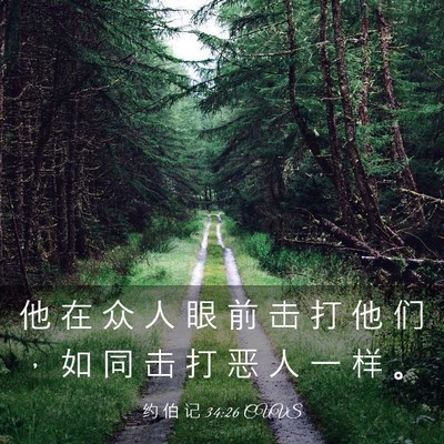 Picture 03 - 约 伯 记 34:26 CUVS - 他 在 众 人 眼 前 击 打 他 们 ， 如 - Bible Verse Picture