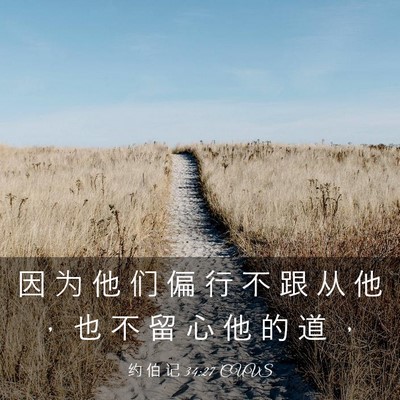 Picture 03 - 约 伯 记 34:27 CUVS - 因 为 他 们 偏 行 不 跟 从 他 ， 也 - Bible Verse Picture