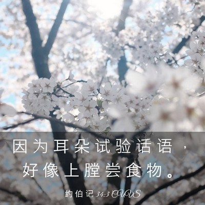 Picture 03 - 约 伯 记 34:3 CUVS - 因 为 耳 朵 试 验 话 语 ， 好 像 上 - Bible Verse Picture