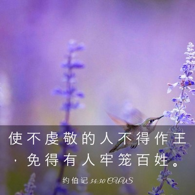 Picture 03 - 约 伯 记 34:30 CUVS - 使 不 虔 敬 的 人 不 得 作 王 ， 免 - Bible Verse Picture