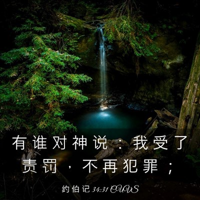 Picture 03 - 约 伯 记 34:31 CUVS - 有 谁 对 神 说 ： 我 受 了 责 罚 ， - Bible Verse Picture
