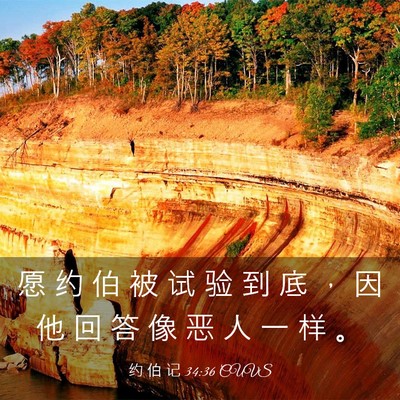 Picture 03 - 约 伯 记 34:36 CUVS - 愿 约 伯 被 试 验 到 底 ， 因 他 回 - Bible Verse Picture