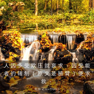 Picture 03 - 约 伯 记 35:9 CUVS - 人 因 多 受 欺 压 就 哀 求 ， 因 受 - Bible Verse Picture