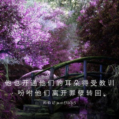Picture 03 - 约 伯 记 36:10 CUVS - 他 也 开 通 他 们 的 耳 朵 得 受 教 - Bible Verse Picture