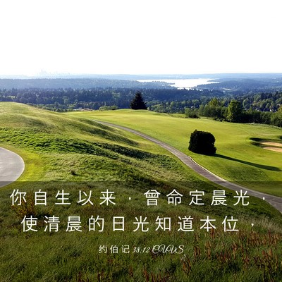 Picture 03 - 约 伯 记 38:12 CUVS - 你 自 生 以 来 ， 曾 命 定 晨 光 ， - Bible Verse Picture