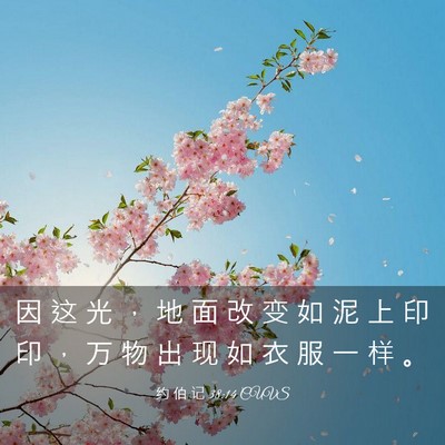 Picture 03 - 约 伯 记 38:14 CUVS - 因 这 光 ， 地 面 改 变 如 泥 上 印 - Bible Verse Picture