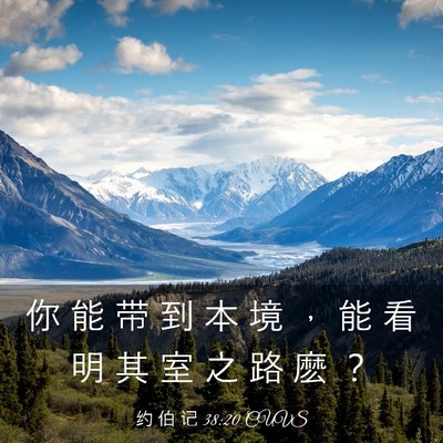Picture 03 - 约 伯 记 38:20 CUVS - 你 能 带 到 本 境 ， 能 看 明 其 室 - Bible Verse Picture