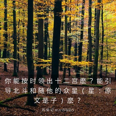 Picture 03 - 约 伯 记 38:32 CUVS - 你 能 按 时 领 出 十 二 宫 麽 ？ 能 - Bible Verse Picture