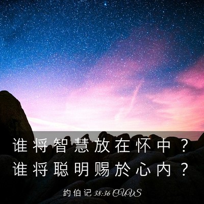 Picture 03 - 约 伯 记 38:36 CUVS - 谁 将 智 慧 放 在 怀 中 ？ 谁 将 聪 - Bible Verse Picture