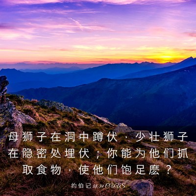 Picture 03 - 约 伯 记 38:39 CUVS - 母 狮 子 在 洞 中 蹲 伏 ， 少 壮 狮 - Bible Verse Picture