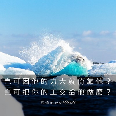 Picture 03 - 约 伯 记 39:11 CUVS - 岂 可 因 他 的 力 大 就 倚 靠 他 ？ - Bible Verse Picture