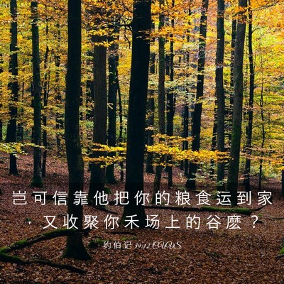 Picture 03 - 约 伯 记 39:12 CUVS - 岂 可 信 靠 他 把 你 的 粮 食 运 到 - Bible Verse Picture