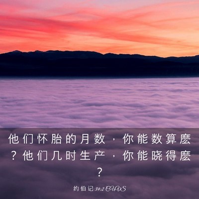 Picture 03 - 约 伯 记 39:2 CUVS - 他 们 怀 胎 的 月 数 ， 你 能 数 算 - Bible Verse Picture
