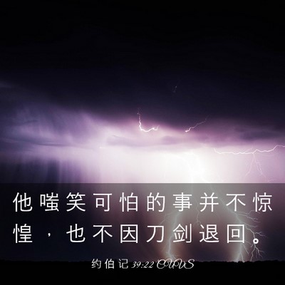 Picture 03 - 约 伯 记 39:22 CUVS - 他 嗤 笑 可 怕 的 事 并 不 惊 惶 ， - Bible Verse Picture