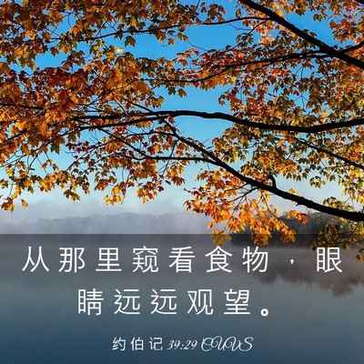 Picture 03 - 约 伯 记 39:29 CUVS - 从 那 里 窥 看 食 物 ， 眼 睛 远 远 - Bible Verse Picture