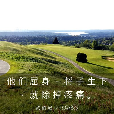 Picture 03 - 约 伯 记 39:3 CUVS - 他 们 屈 身 ， 将 子 生 下 ， 就 除 - Bible Verse Picture