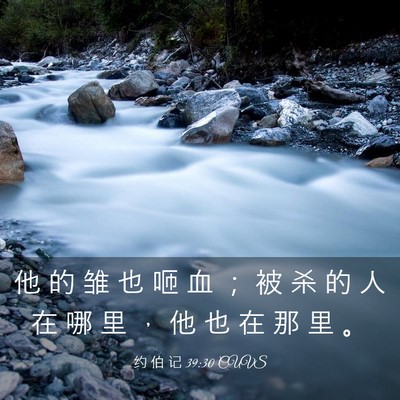 Picture 03 - 约 伯 记 39:30 CUVS - 他 的 雏 也 咂 血 ； 被 杀 的 人 在 - Bible Verse Picture