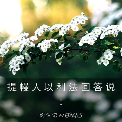 Picture 03 - 约 伯 记 4:1 CUVS - 提 幔 人 以 利 法 回 答 说 - Bible Verse Picture