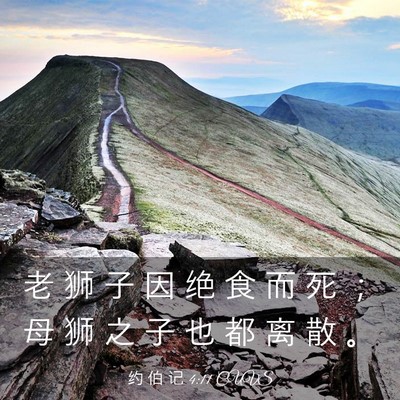 Picture 03 - 约 伯 记 4:11 CUVS - 老 狮 子 因 绝 食 而 死 ； 母 狮 之 - Bible Verse Picture