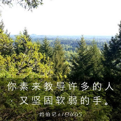 Picture 03 - 约 伯 记 4:3 CUVS - 你 素 来 教 导 许 多 的 人 ， 又 坚 - Bible Verse Picture