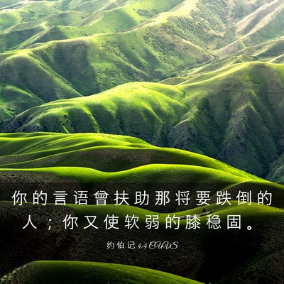 Picture 03 - 约 伯 记 4:4 CUVS - 你 的 言 语 曾 扶 助 那 将 要 跌 倒 - Bible Verse Picture